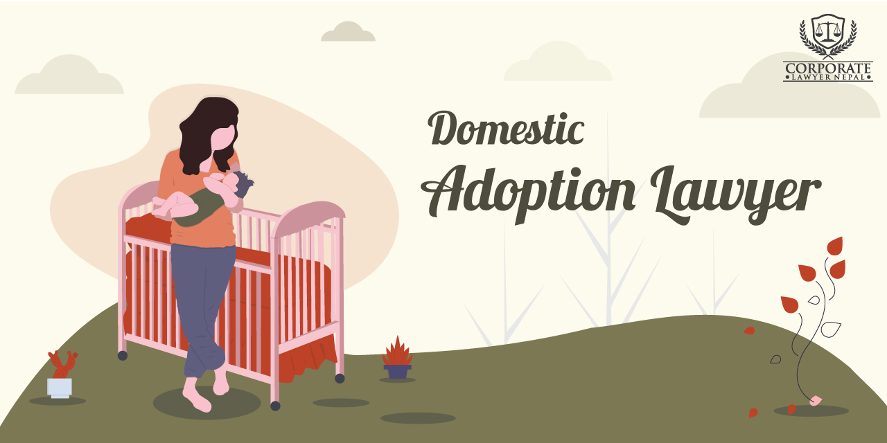 domestic-adoption-in-nepal